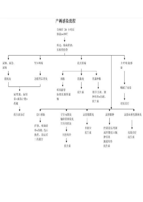 妇产科各种病种标准流程图.docx