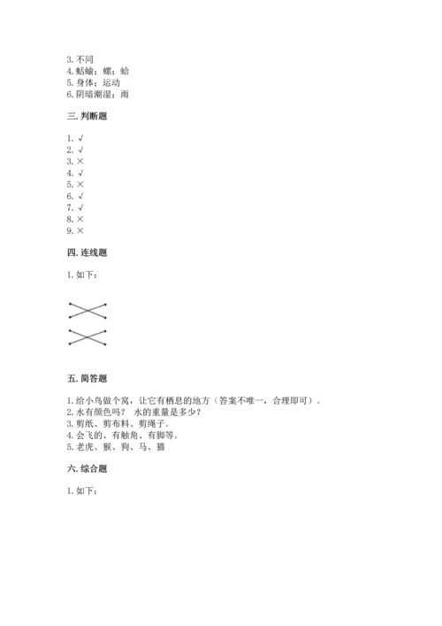 教科版一年级下册科学期末测试卷含答案【巩固】.docx