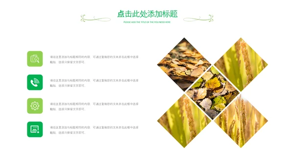 乡村振兴新农村旅游稻田水稻农业丰收PPT