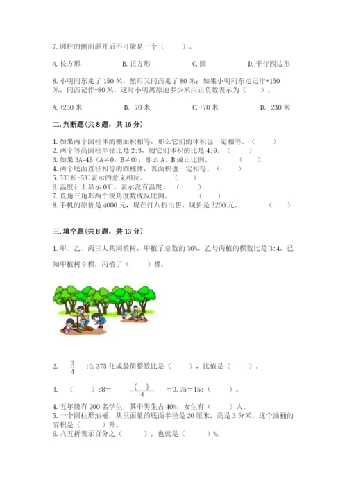 北京版六年级下册数学期末测试卷（考点精练）.docx