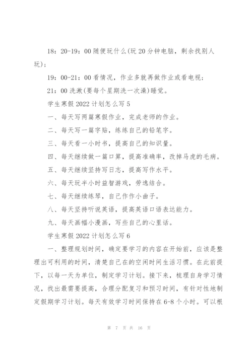 学生寒假2022计划怎么写10篇.docx