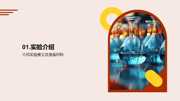 实验探究之旅