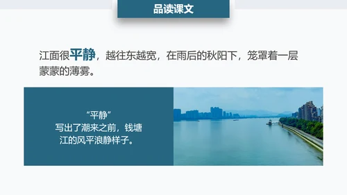 观潮钱塘江小学语文PPT课件