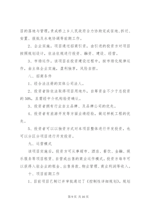 旅游项目招商方案.docx