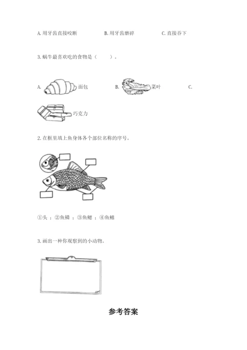 教科版一年级下册科学期末测试卷【综合题】.docx