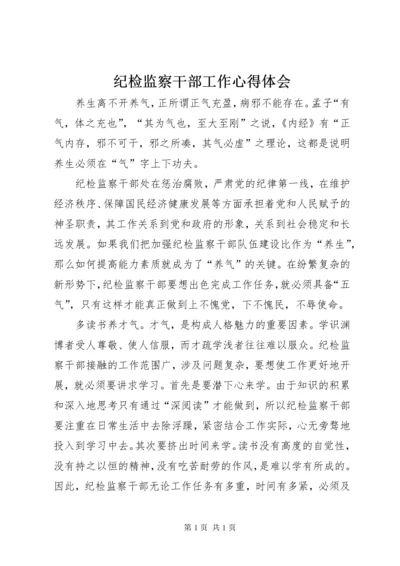 纪检监察干部工作心得体会 (2).docx