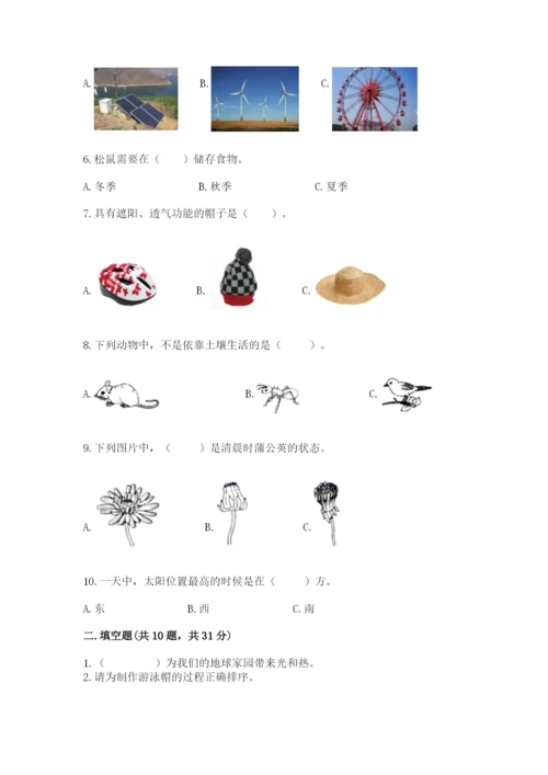 教科版二年级上册科学期末考试试卷及参考答案（巩固）.docx