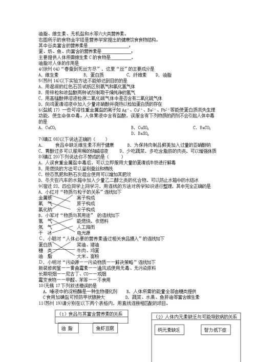 中考化学题汇编第八章食品中的有机化合物(学生用）沪教版