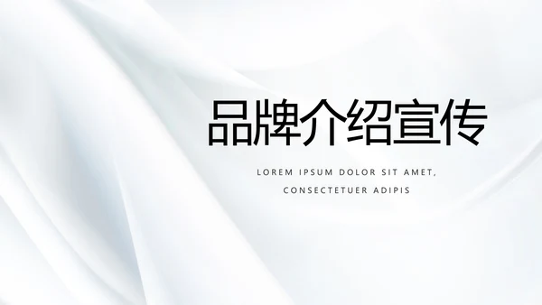 公司品牌介绍宣传策划方案工作总结动态PPT