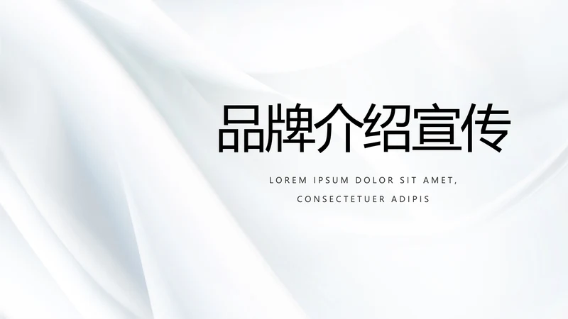 公司品牌介绍宣传策划方案工作总结动态PPT