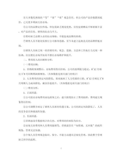 精编之营销总监工作总结范文2.docx