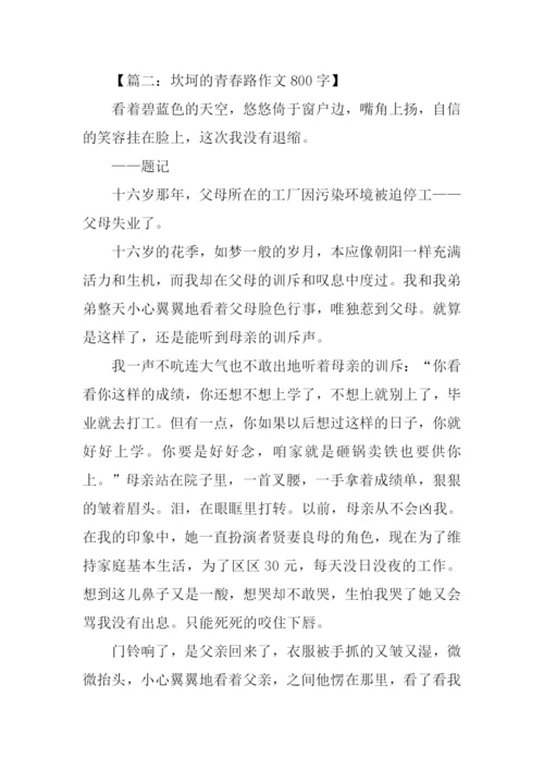 坎坷的青春路作文800字.docx