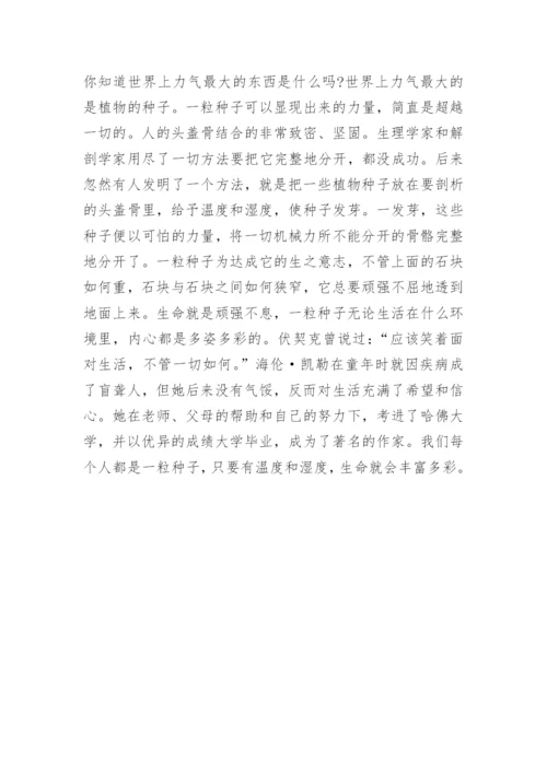 初二暑假日记 500字.docx