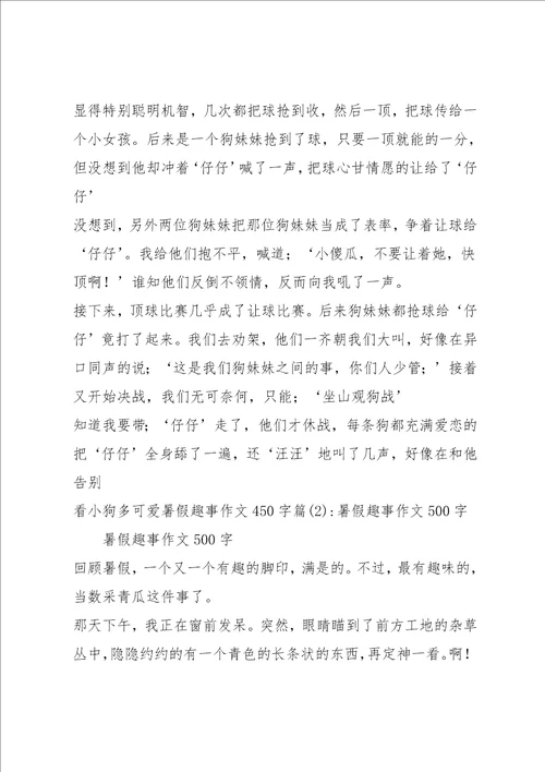 暑假趣事作文450字5篇