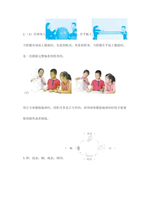 教科版小学科学三年级下册期末测试卷（预热题）.docx