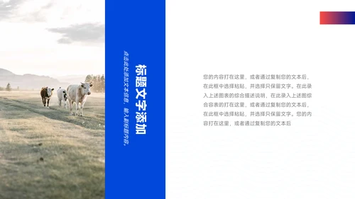 红蓝潮流时尚企业市场计划书PPT模板