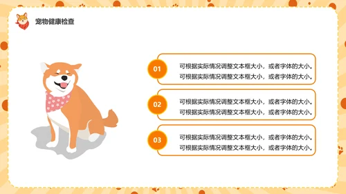 猫咪，宠物健康管理PPT模板