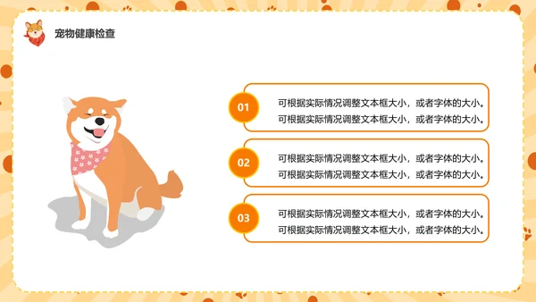 猫咪，宠物健康管理PPT模板