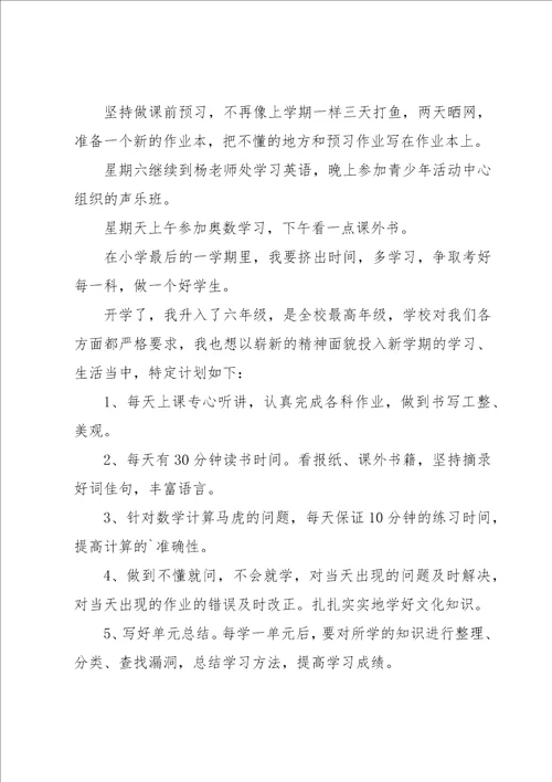 小学生新学期学习工作计划