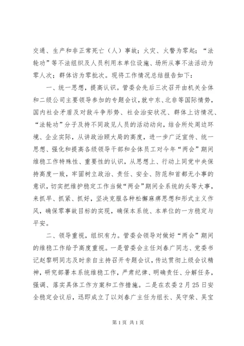 “两会”期间维稳工作作汇报总结.docx