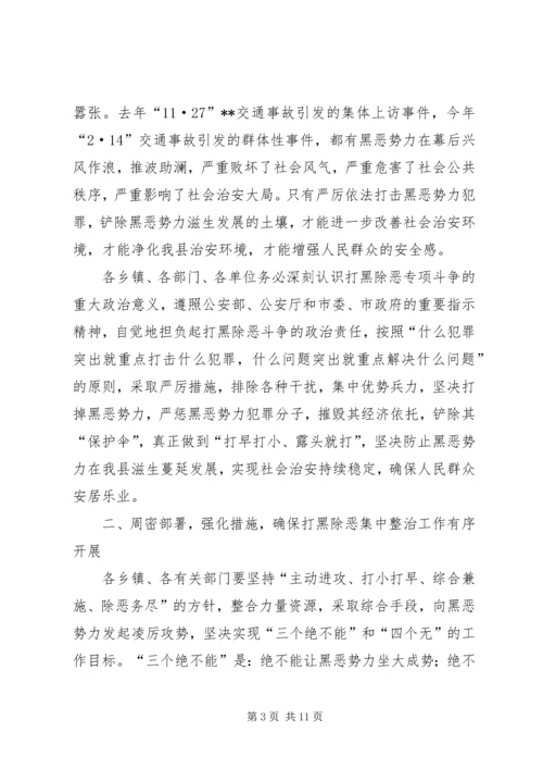 县领导在打黑除恶整治会议发言.docx