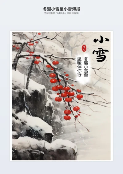 冬迎小雪至小雪海报