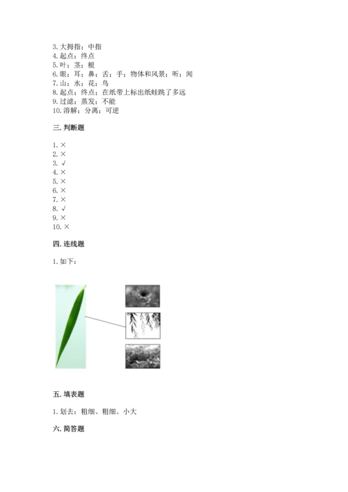 教科版小学一年级上册科学期末测试卷（有一套）.docx