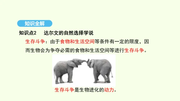 7.3.3生物进化的原因课件-人教版生物八年级下册(共37张PPT)