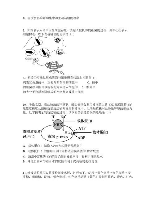 甘肃省庆阳市2023学年度高一上学期期末生物试题