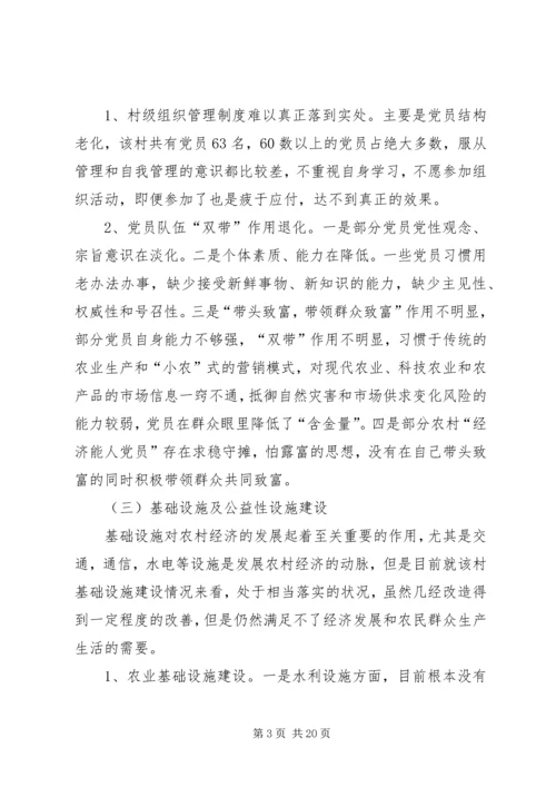 村工作计划及思路 (2).docx