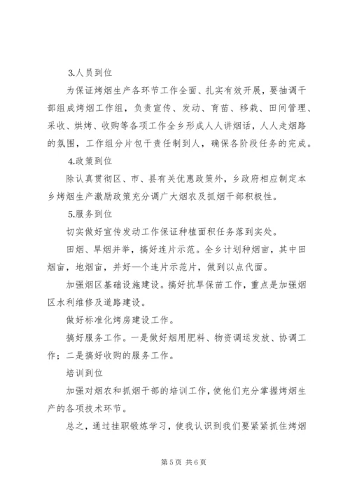 乡镇领导干部挂职工作总结.docx