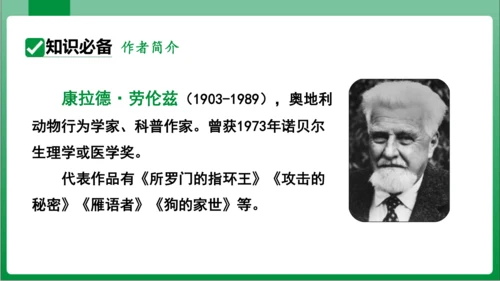 17.动物笑谈（课件）【2023秋人教七上语文高效实用备课】(共33张PPT)