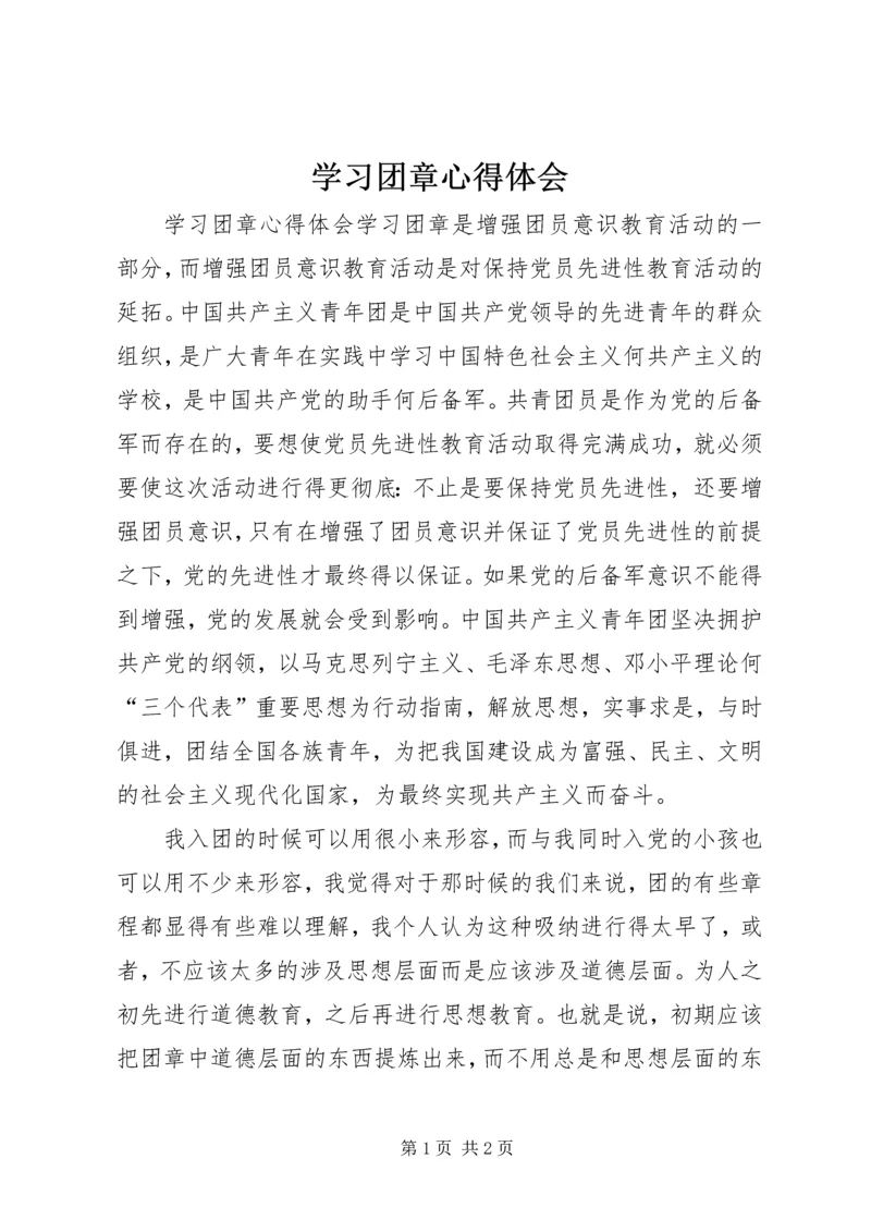 学习团章心得体会.docx