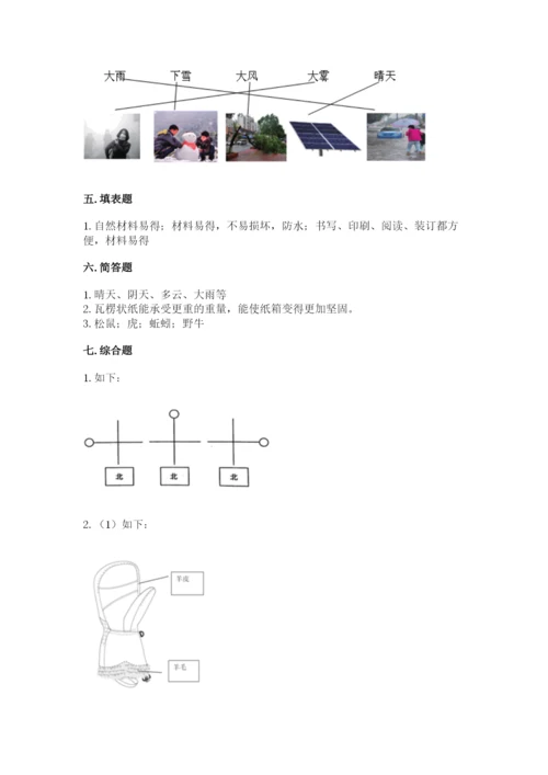 教科版小学二年级上册科学期末测试卷【综合卷】.docx