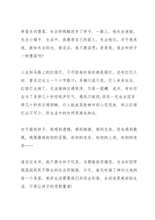 初中生骆驼祥子读书心得4篇.docx