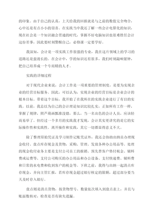 财务会计社会实践报告范文.docx