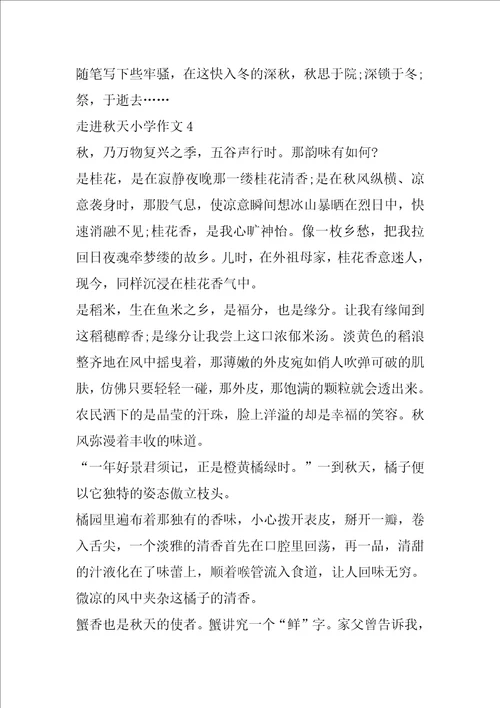 走进秋天小学作文
