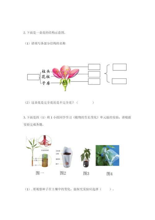 教科版四年级下册科学第一单元《植物的生长变化》测试卷【巩固】.docx