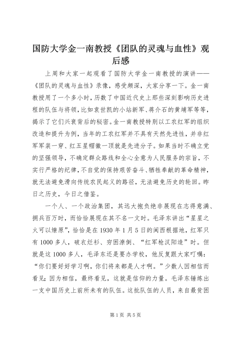 国防大学金一南教授《团队的灵魂与血性》观后感.docx