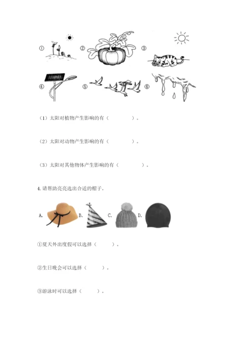 教科版二年级上册科学期末测试卷精品【达标题】.docx