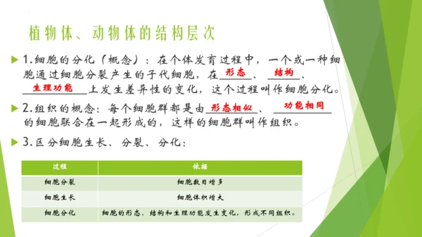 人教版生物七年级上册期中复习课件(共19张PPT)