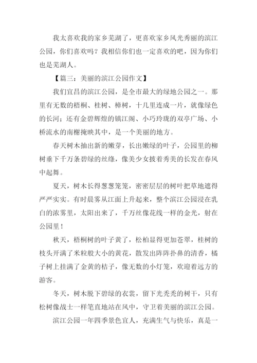 美丽的滨江公园作文.docx