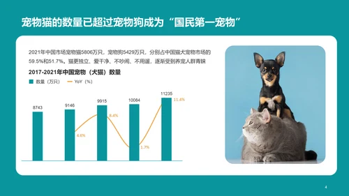 2022年中国宠物消费调研报告