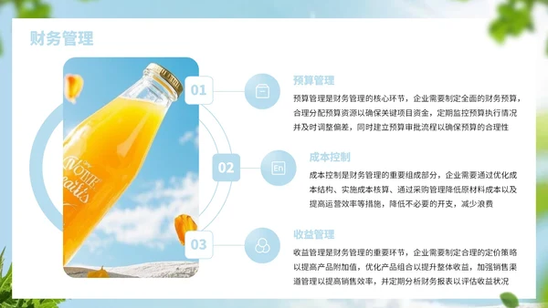 浅蓝色简约风饮品行业商业计划书