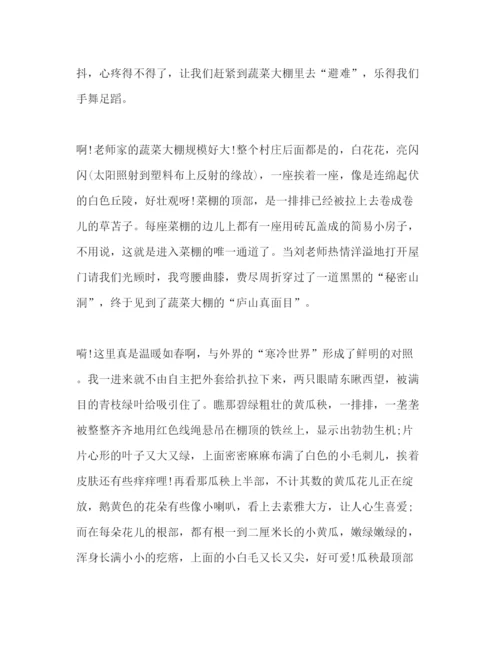 精编小学生假期社会实践活动心得感悟范本大全.docx