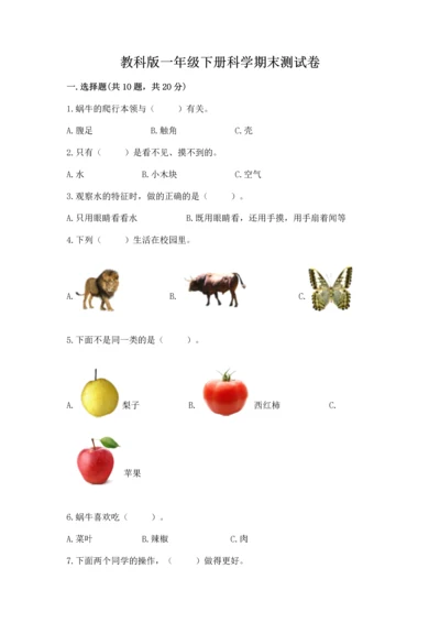 教科版一年级下册科学期末测试卷附答案（轻巧夺冠）.docx
