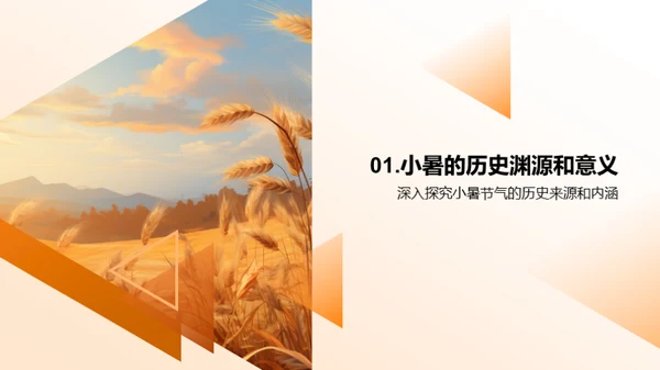 小暑文化解析