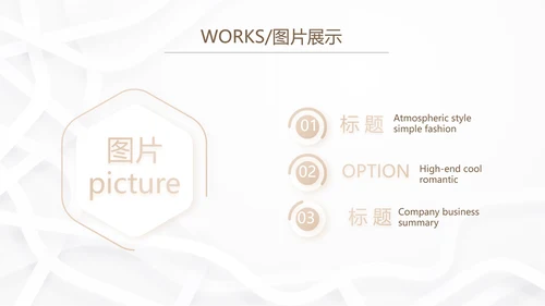 简约室内装饰设计方案工作总结PPT
