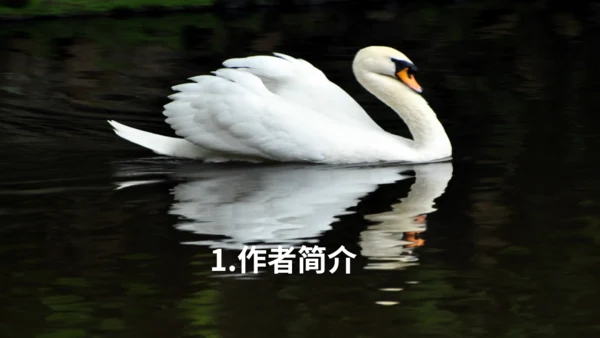 《天鹅》布丰天鹅湖通用PPT课件