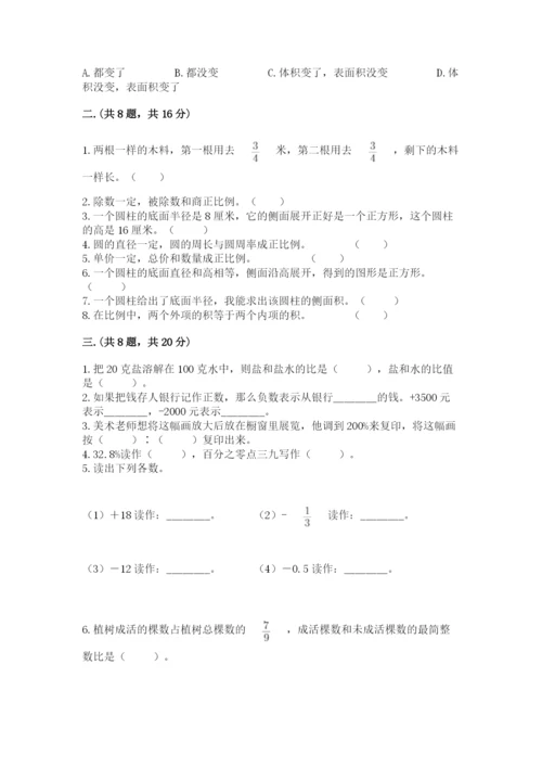 河南省平顶山市六年级下册数学期末测试卷含答案（实用）.docx